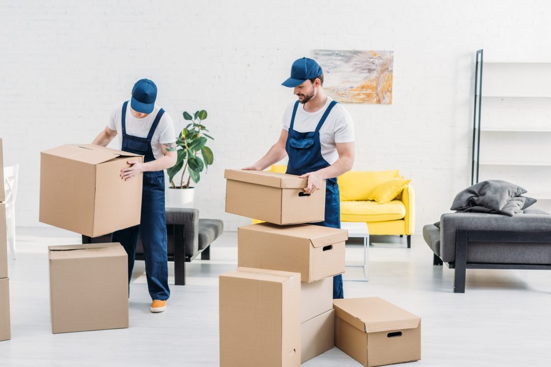 two movers in uniform carrying cardboard boxes in modern apartment 1